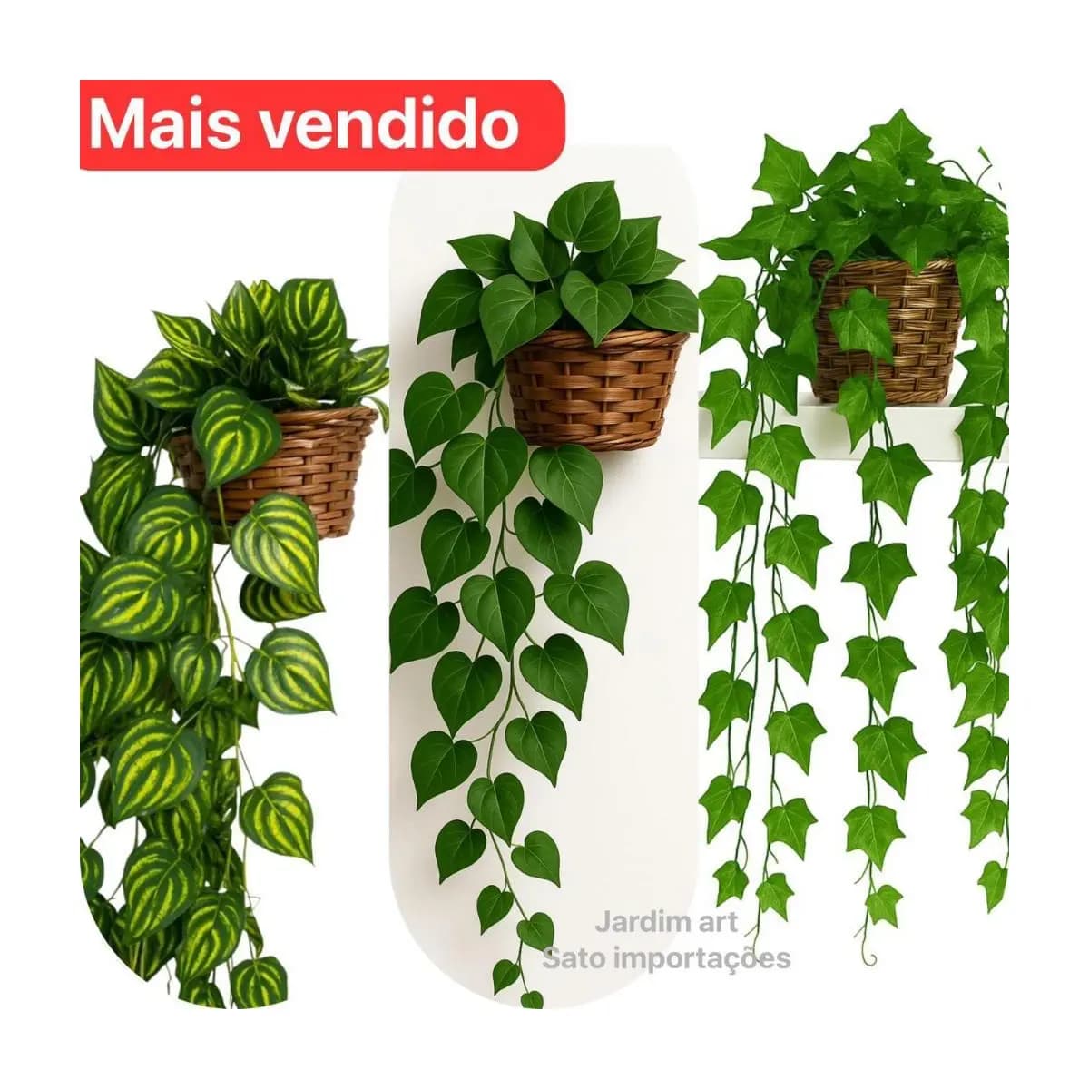 Arranjo c/ 3 Trepadeira Folha de HERA + Vaso Trançado Marrom