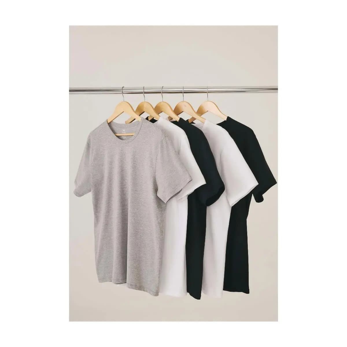 Kit Com 5 Camisetas Masculinas Básicas Slim Hering