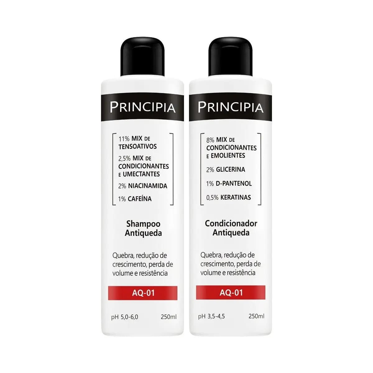 Principia Kit Shampoo e Condicionador Antiqueda AQ-01