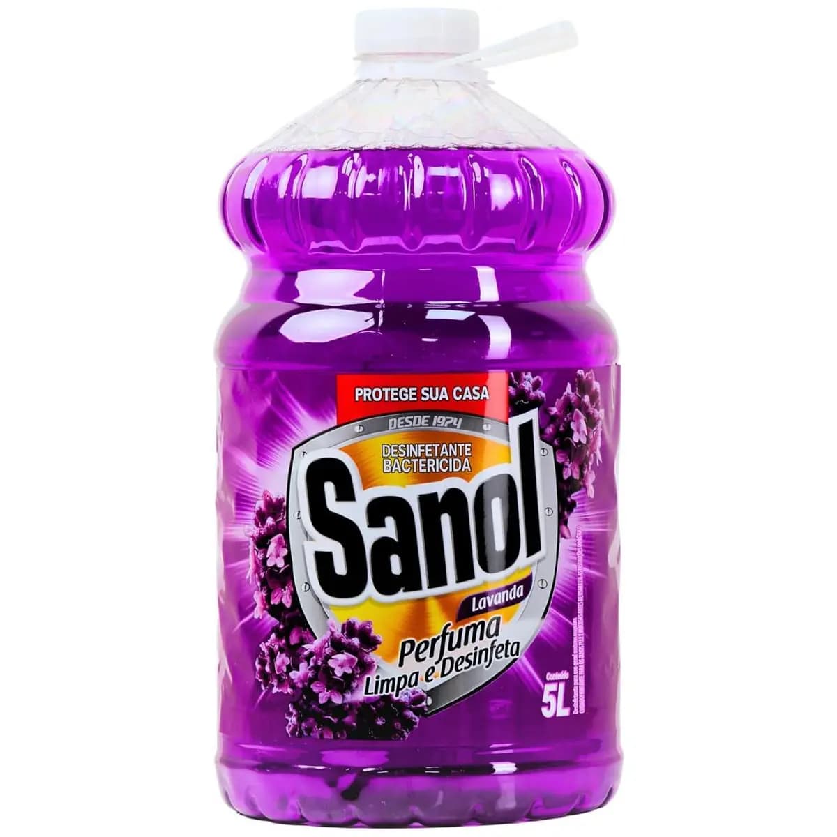 Desinfetante Líquido Para Uso Geral Lavanda 5 Litros Roxo